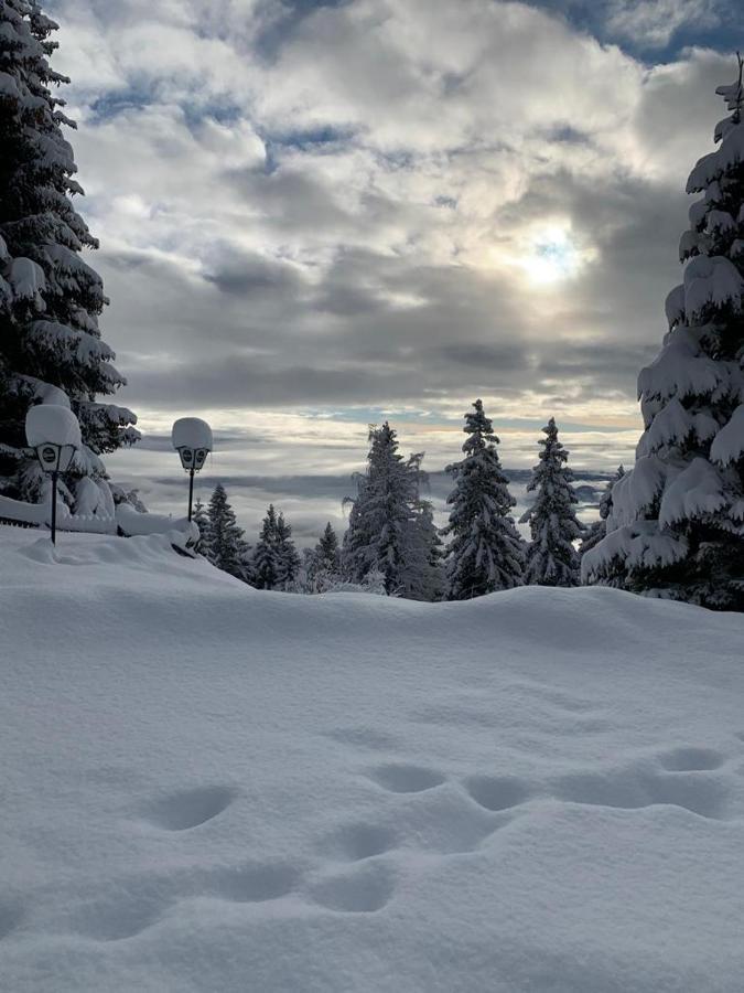 Hundefreundliche Bergwohnung Neben Der Skipiste - Mittelstation Skigebiet Gerlitzen Kanzelhohe Esterno foto