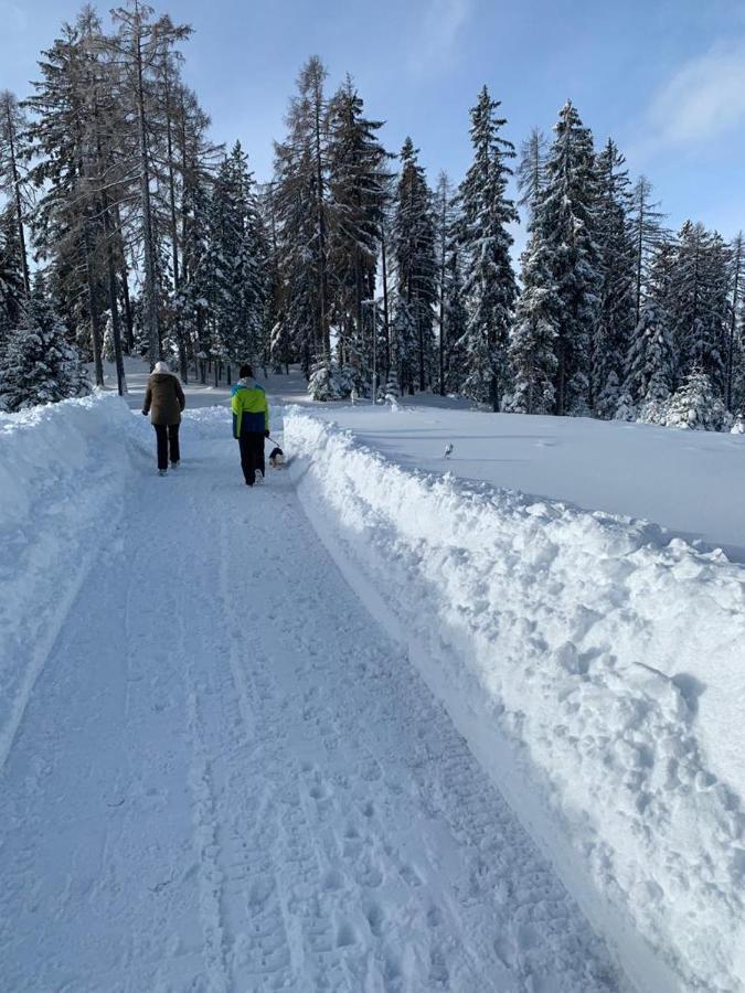 Hundefreundliche Bergwohnung Neben Der Skipiste - Mittelstation Skigebiet Gerlitzen Kanzelhohe Esterno foto