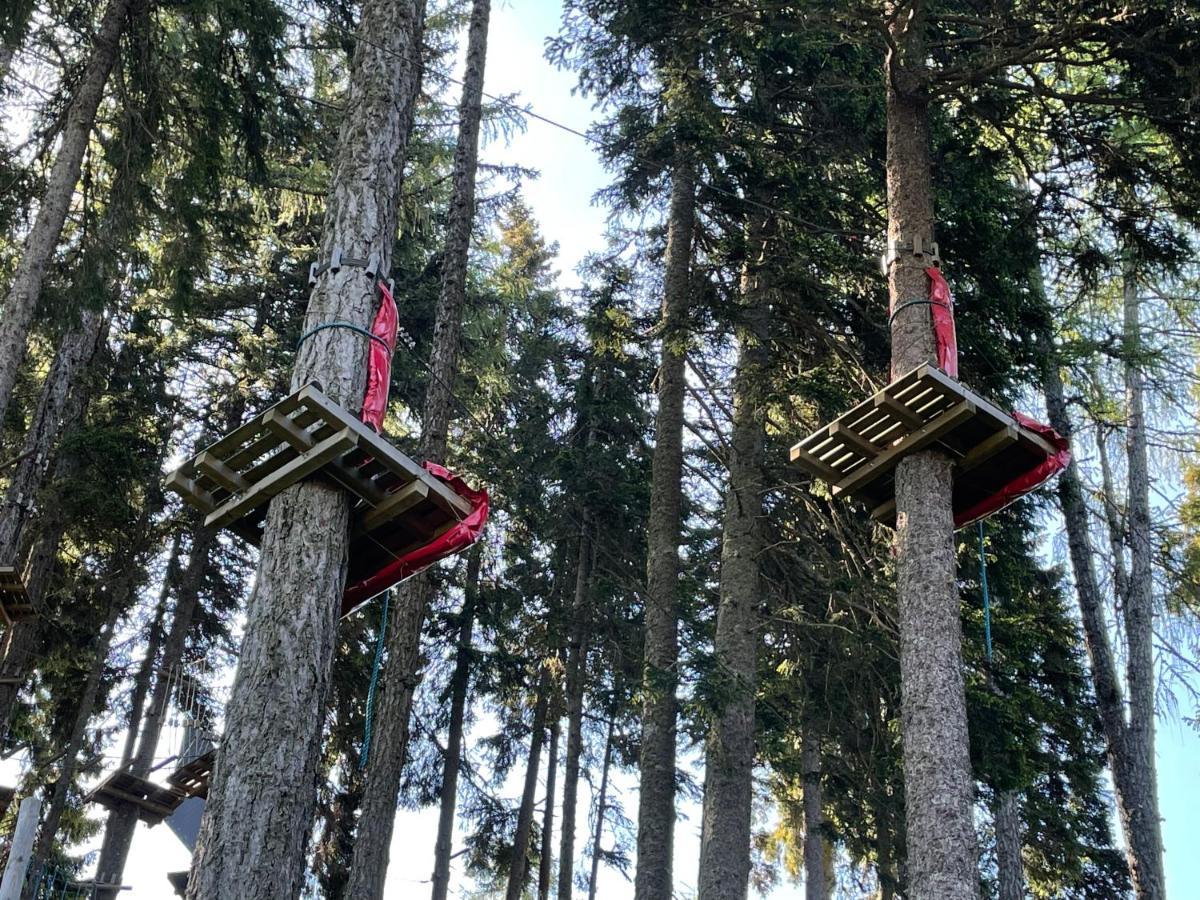 Hundefreundliche Bergwohnung Neben Der Skipiste - Mittelstation Skigebiet Gerlitzen Kanzelhohe Esterno foto